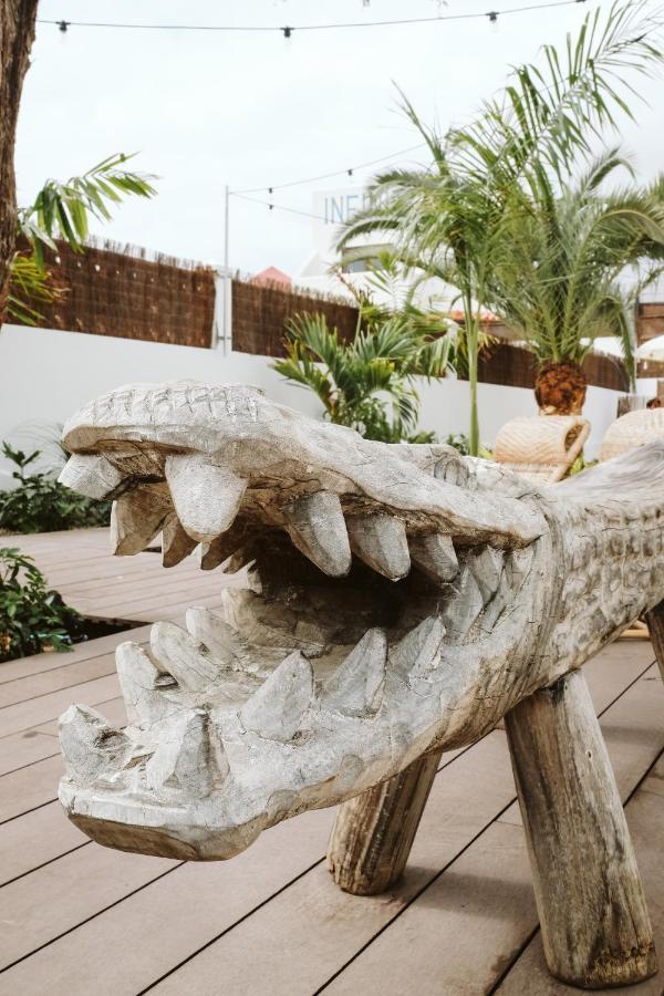 Dreamsea Surf House Fuerteventura Hostel Corralejo Luaran gambar